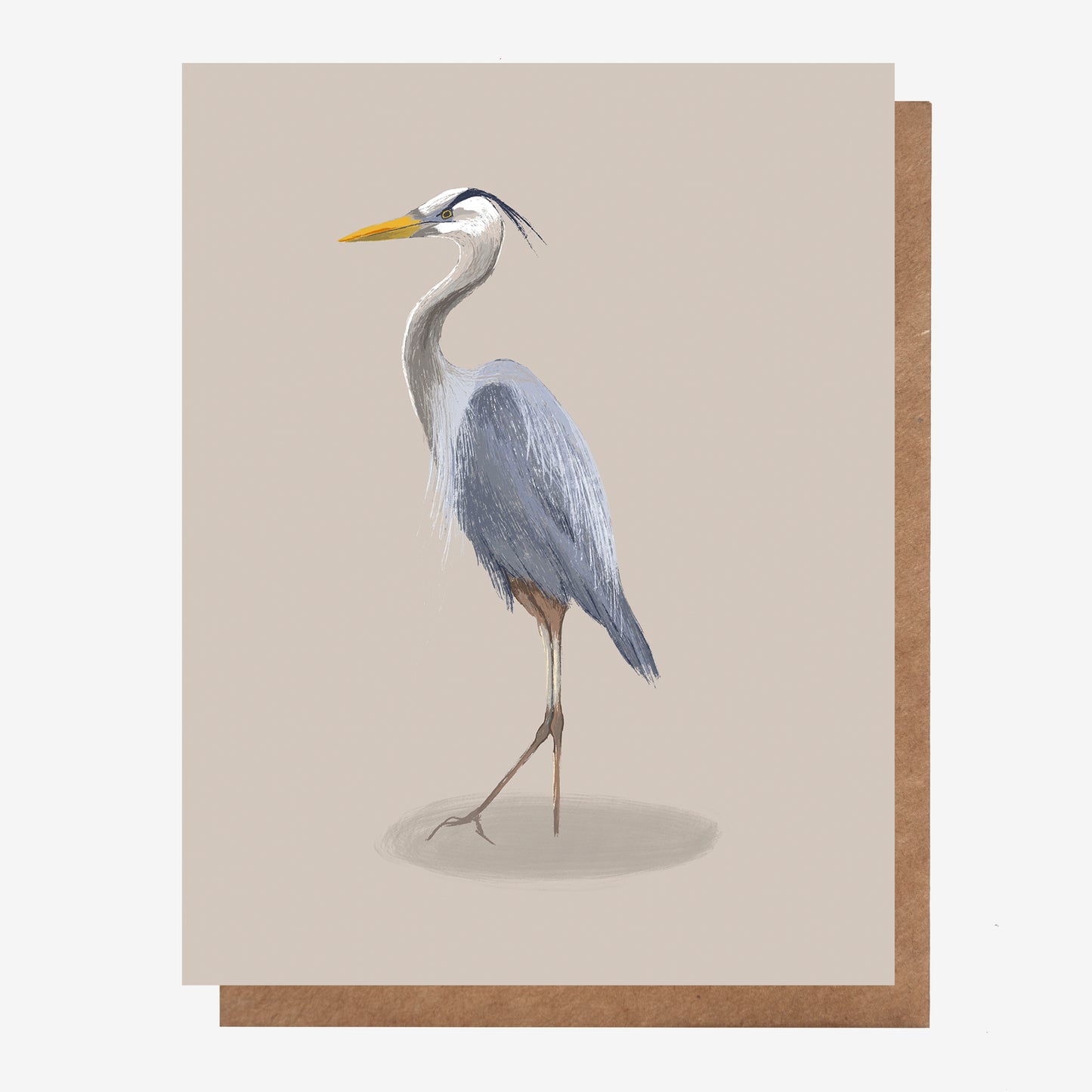 Great Blue Heron Canadian Birds Card