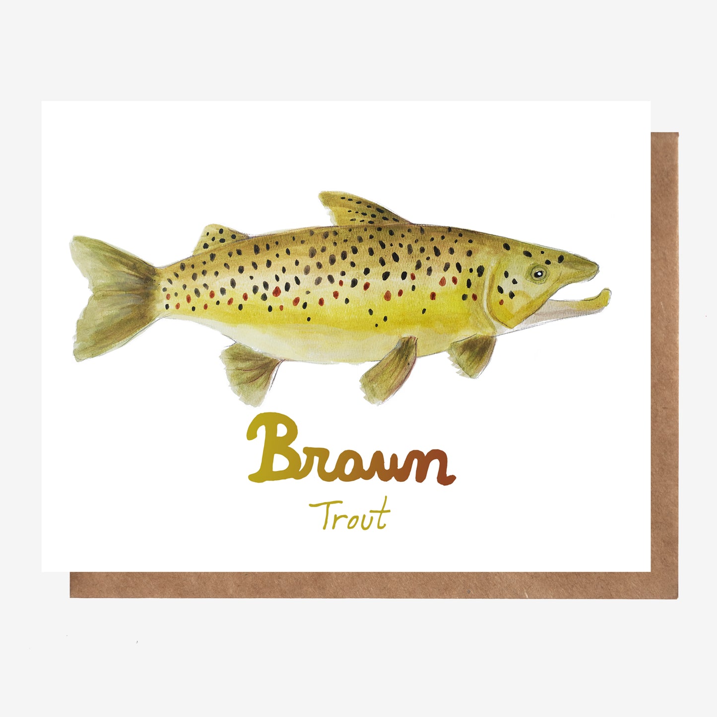 Brown Trout Card