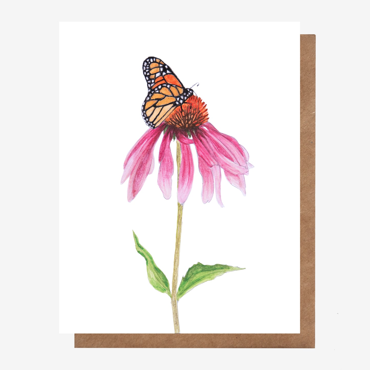 Monarch & Coneflower Card