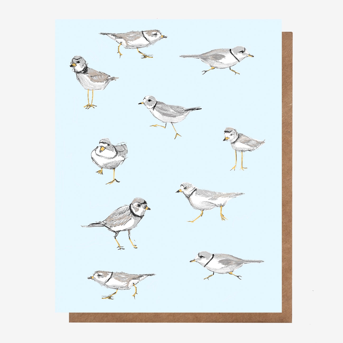 Piping Plover Card
