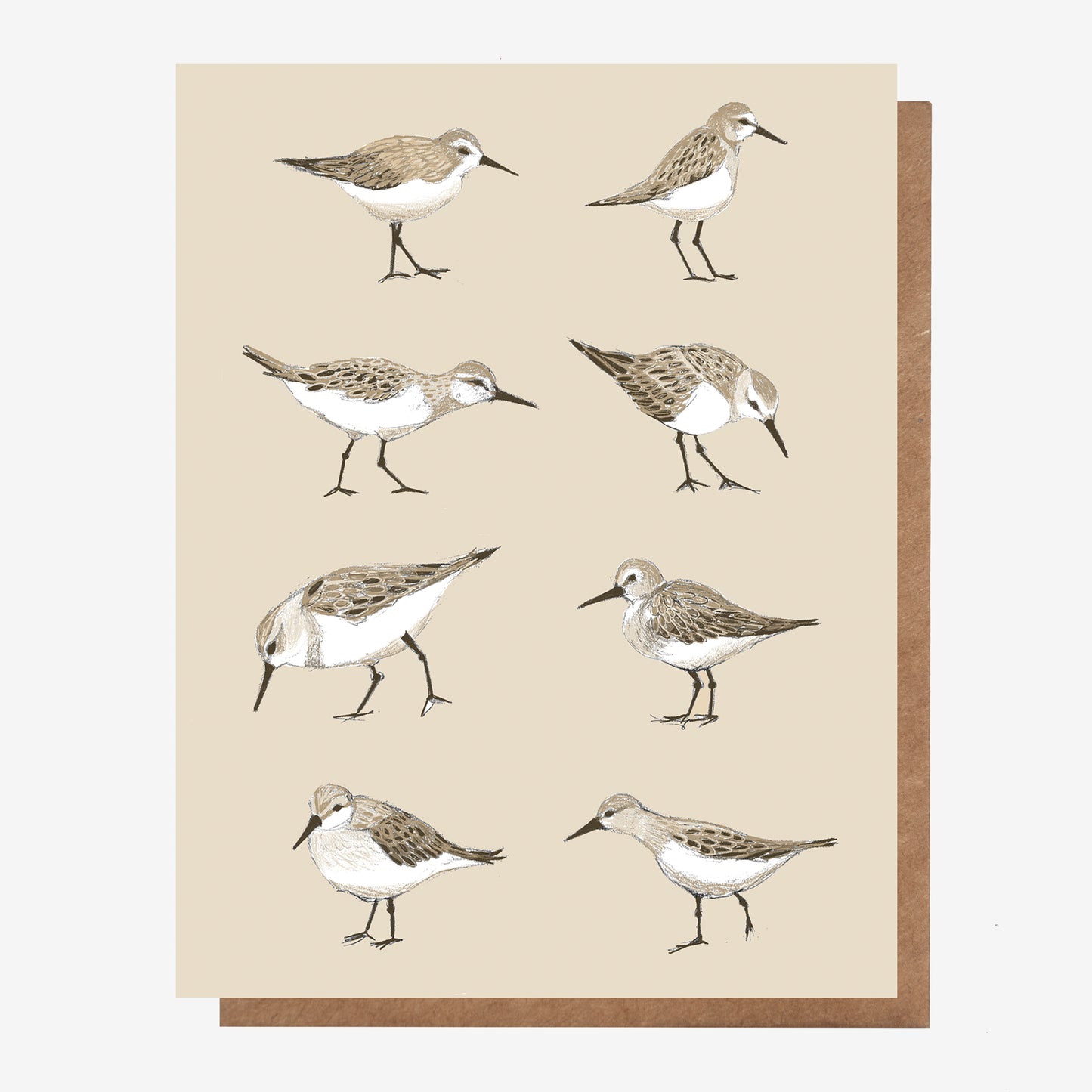 Sandpiper Card