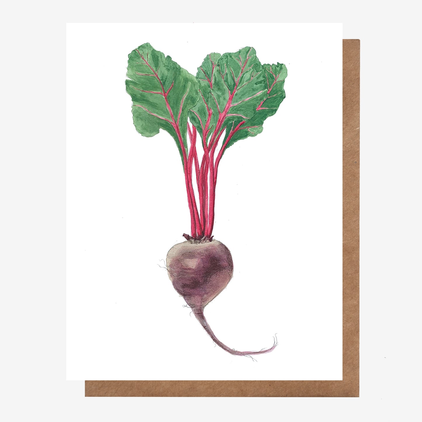 Hand-drawn Beet Root Vegetable all occasion greeting card. Made in Nova Scotia, Canada by Coastal Card Co.