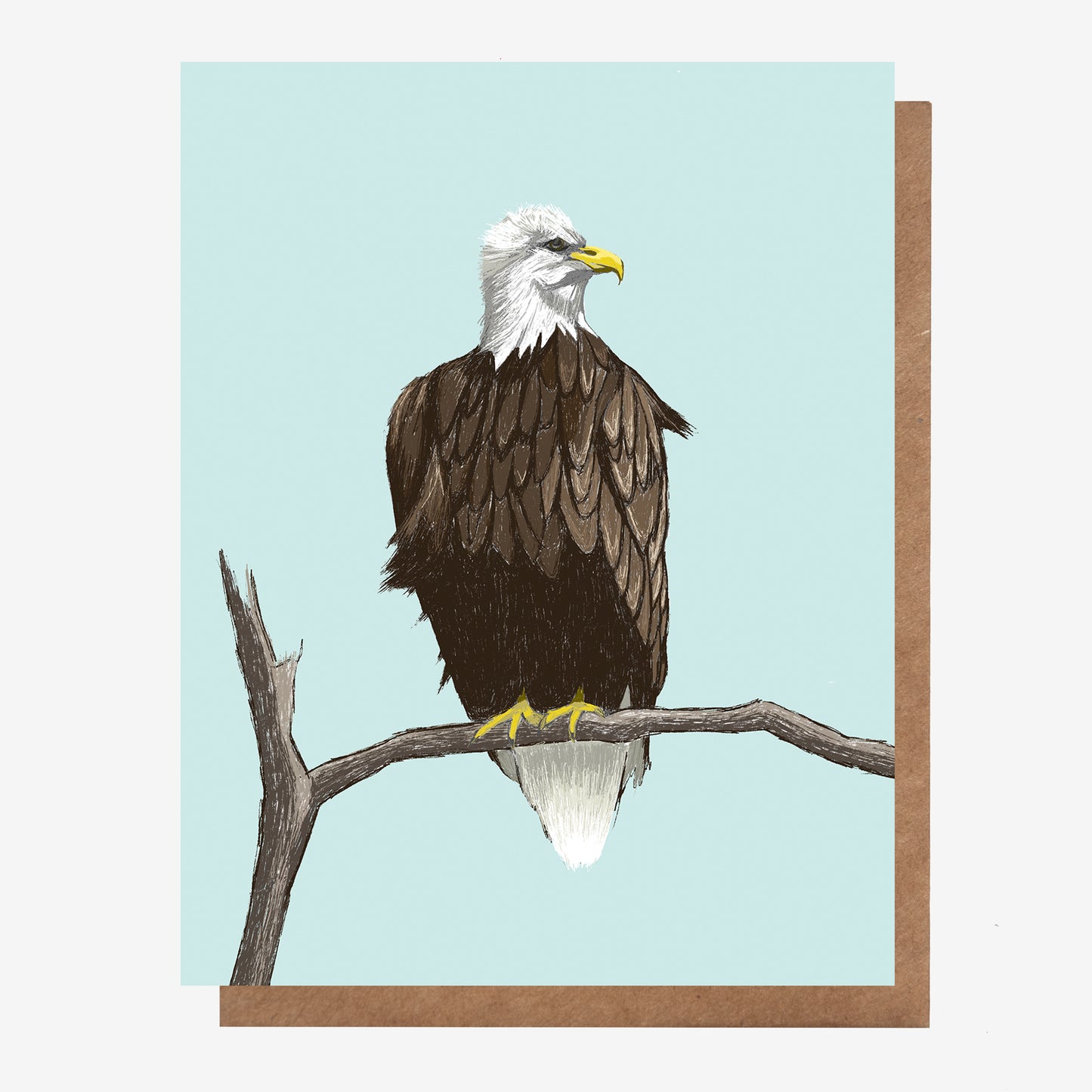 Bald Eagle Canadian Birds Card
