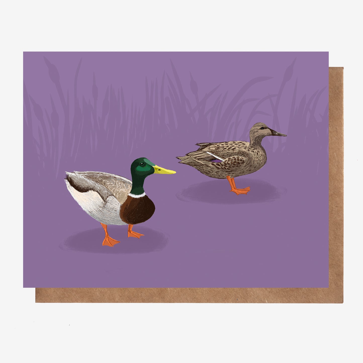 Mallard Ducks Canadian Birds Card