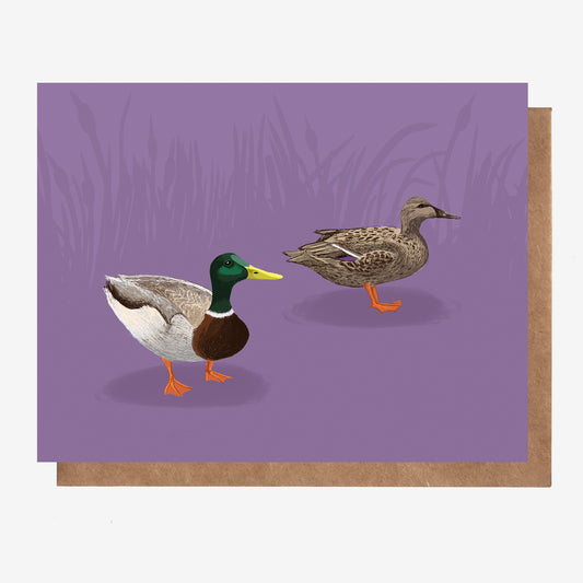 Mallard Ducks Canadian Birds Card