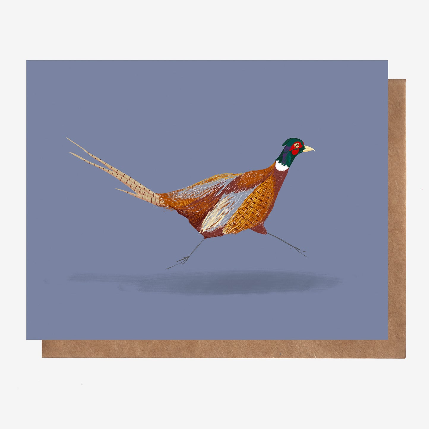 Pheasant Canadian Birds Card