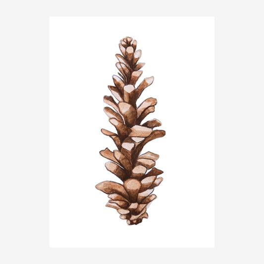 Pinecone 5x7 Art Print