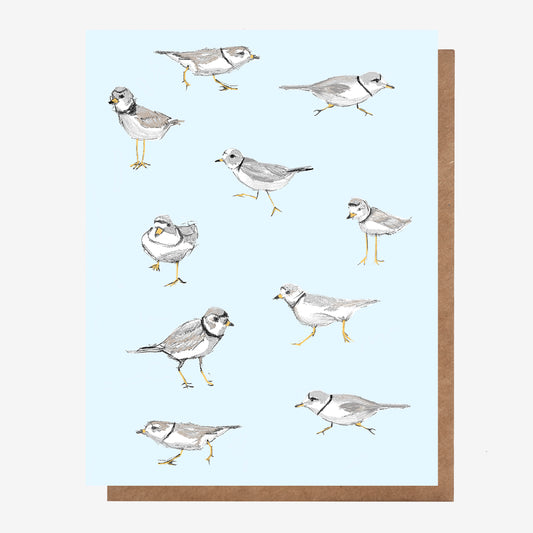 Piping Plover Card