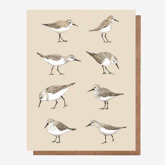Sandpiper Card