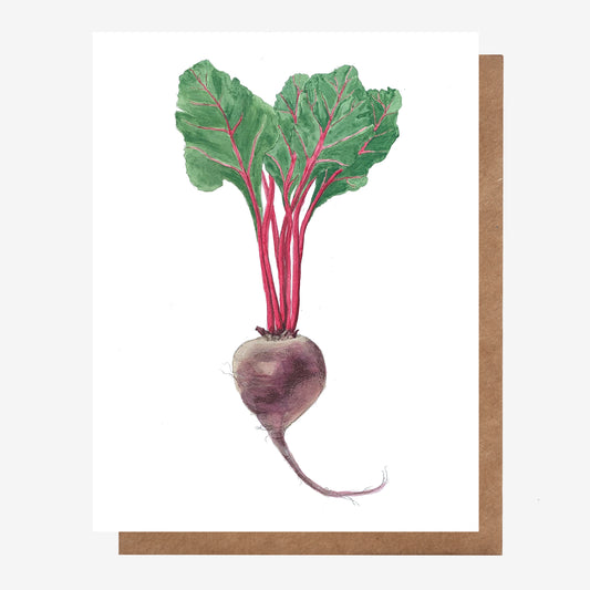 Hand-drawn Beet Root Vegetable all occasion greeting card. Made in Nova Scotia, Canada by Coastal Card Co.