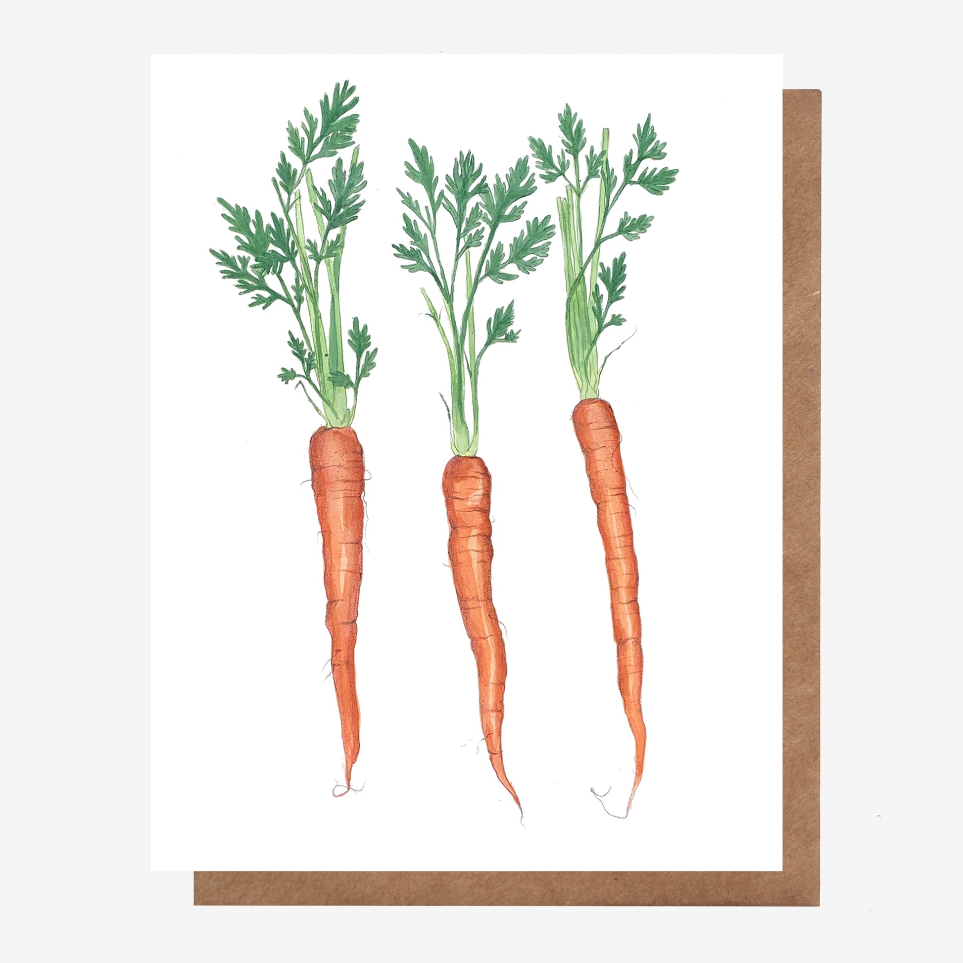 Hand-drawn Carrot Root Vegetable greeting card for all occasions. Made in Nova Scotia, Canada by Coastal Card Co.