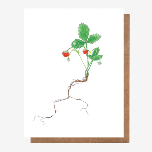 Hand drawn greeting card of wild field strawberries, made in Nova Scotia, Canada by Coastal Card Co.