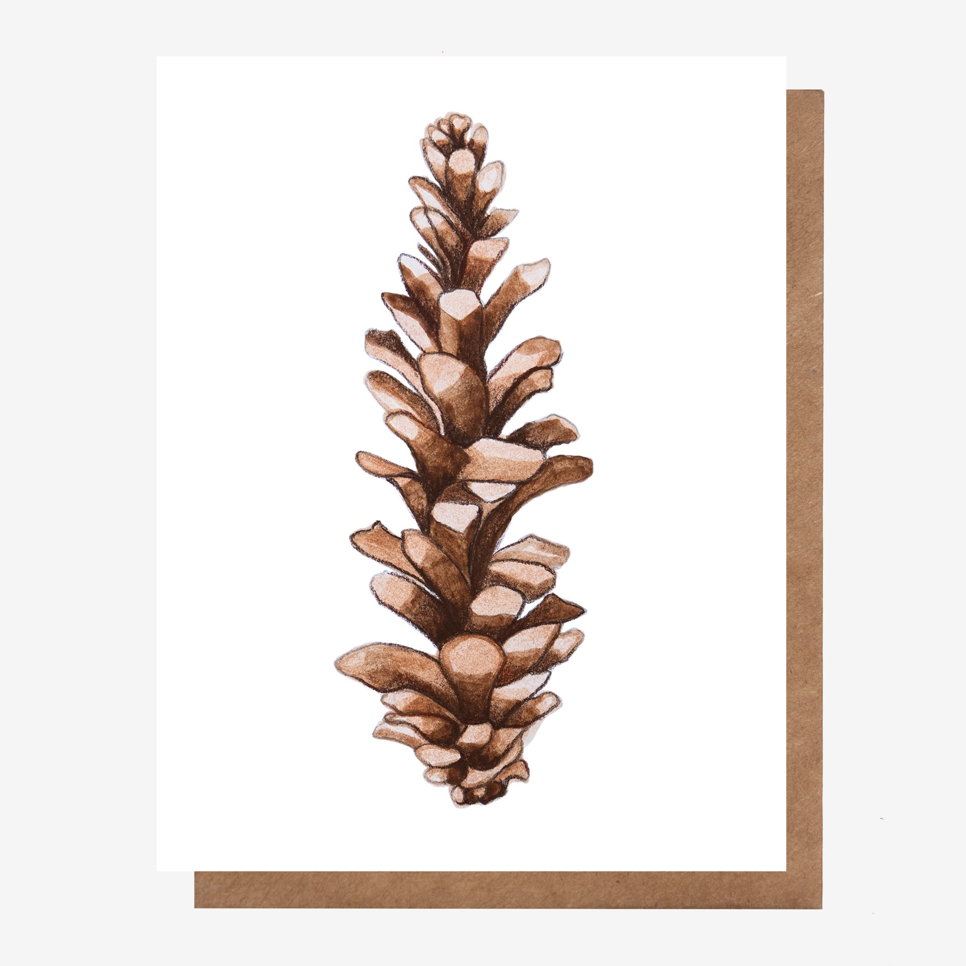Hand-drawn Pinecone greeting card for all occasions, made in Nova Scotia Canada by Coastal Card Co.