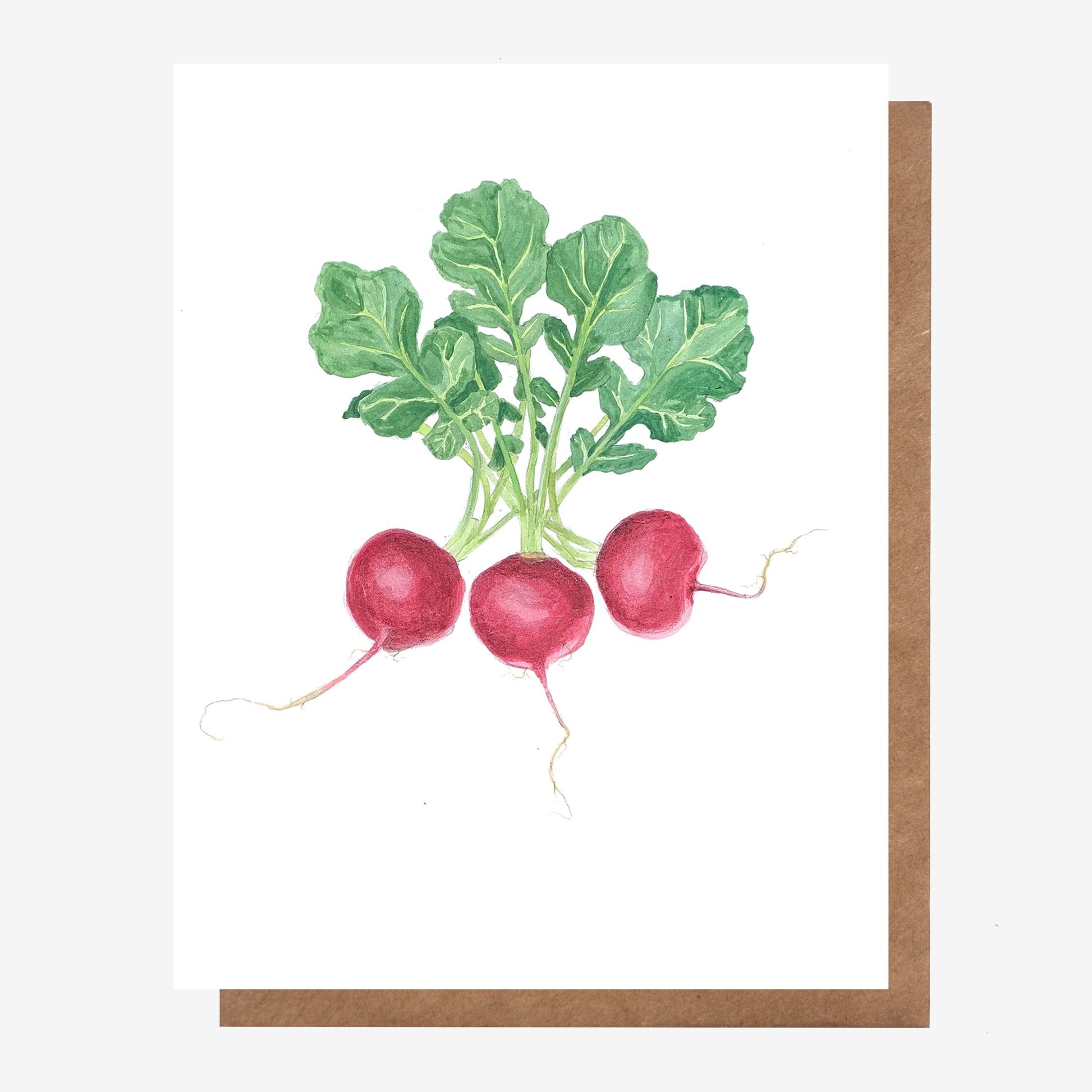 Hand drawn Radish Root Vegetable greeting card for all occasions. Made in Nova Scotia, Canada by Coastal Card Co.